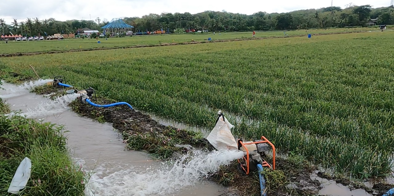 Kementan Tegaskan Program Pompanisasi Berdampak Positif Pada Produksi Nasional