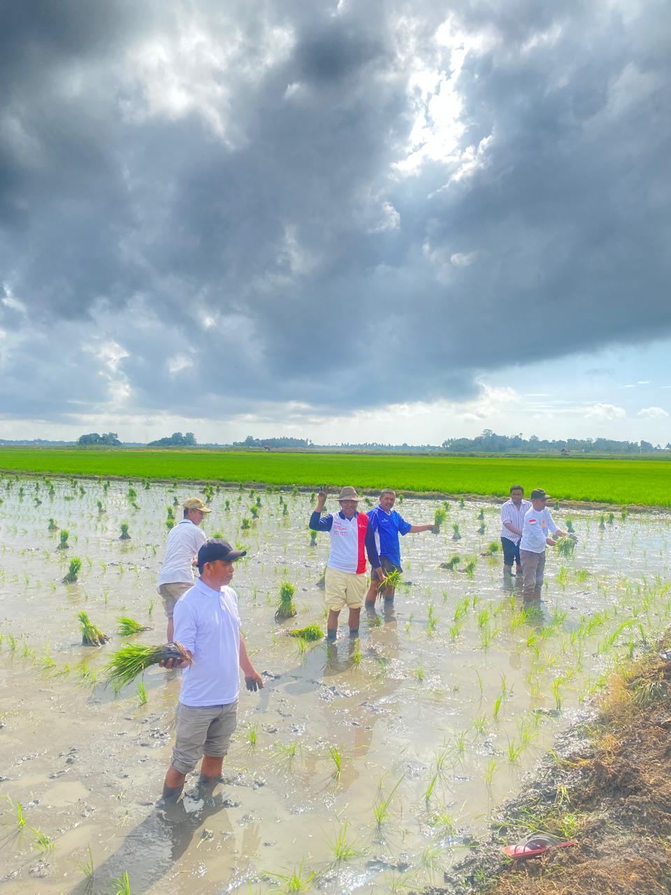 Pangkas 145 Regulasi, Kebijakan Distribusi Pupuk Langsung Ke Petani Dinilai Tepat