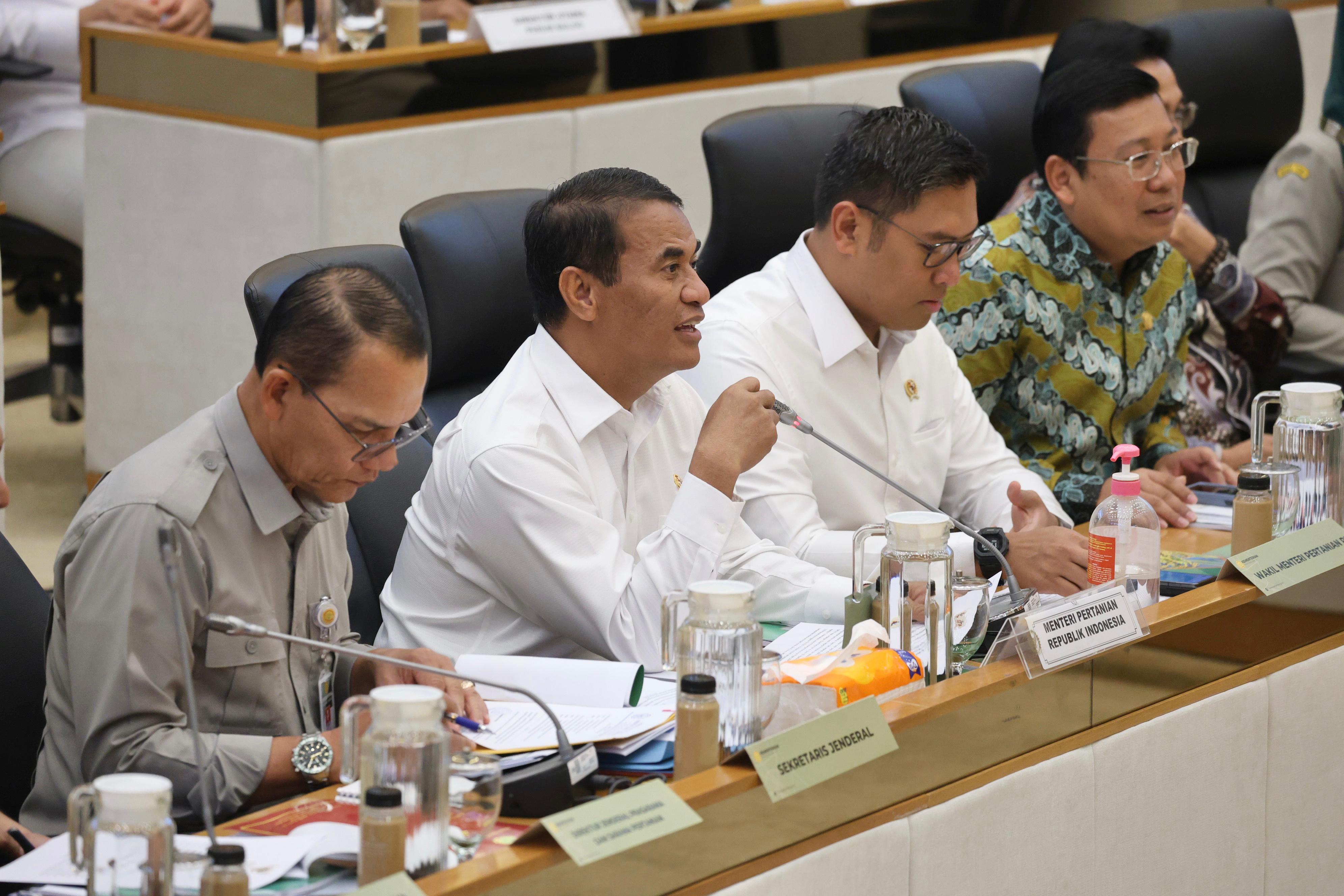 Kementan Pastikan Program Cetak Sawah Berjalan Lancar