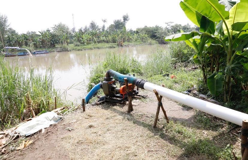 Kementan Respon Sigap Laporan dari Hotline Kekeringan Petani