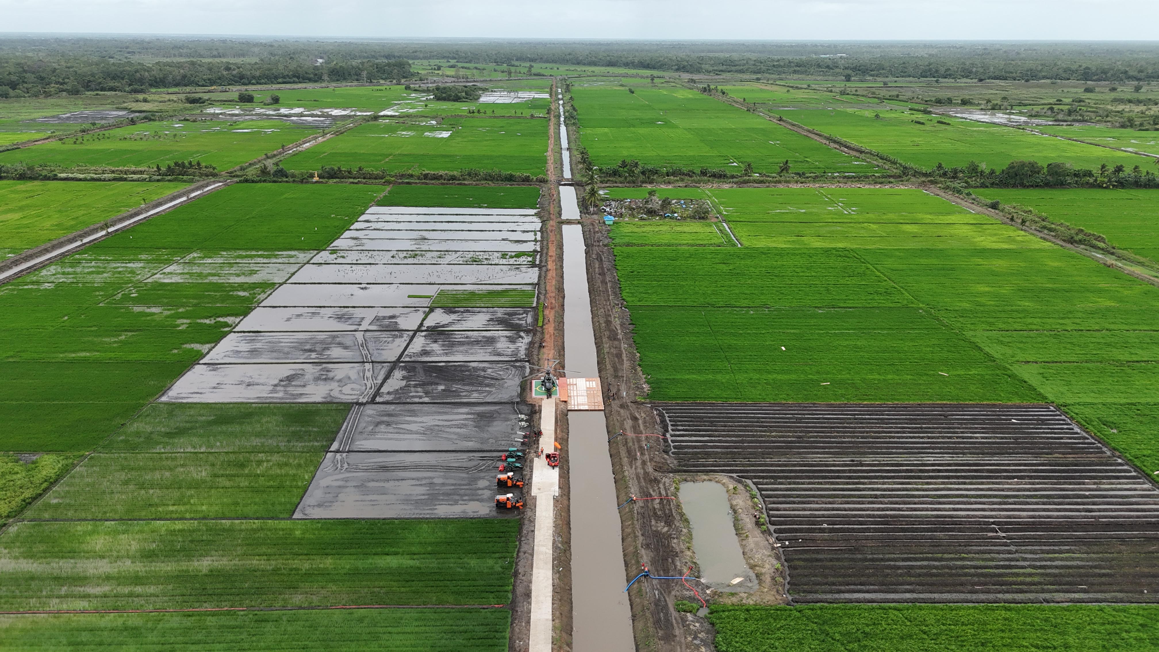 Hasil Survei Menunjukkan Lahan Cetak Sawah di Kabupaten Merauke Layak Tanam