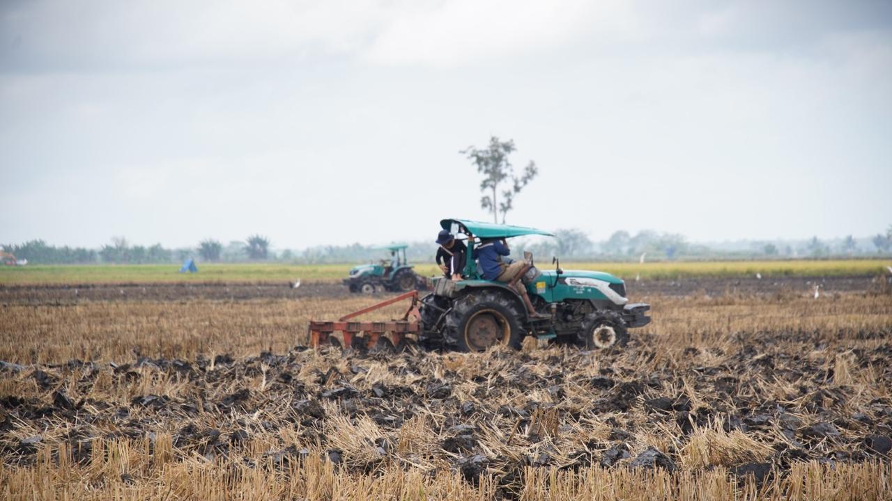 Kementan Rampungkan Opla Rawa 40 Ribu Ha di Merauke