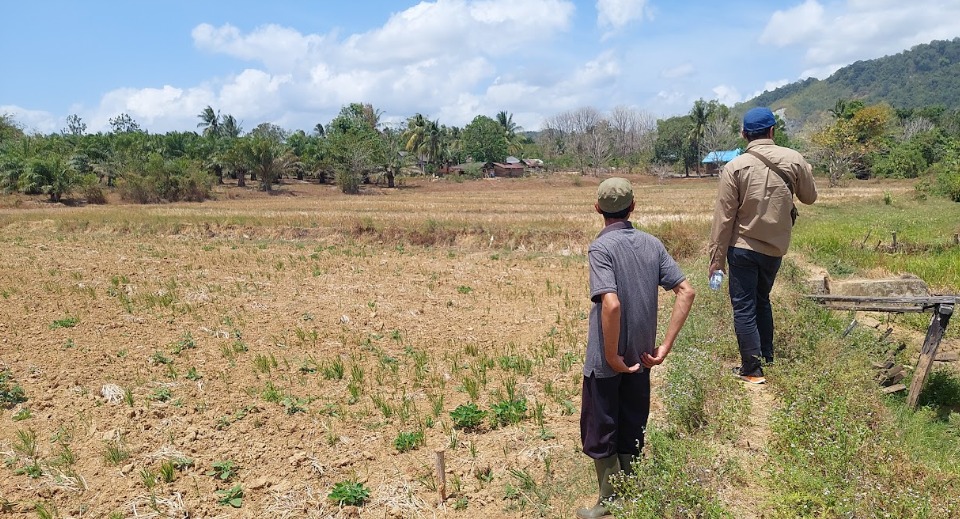 Hadapi El Nino, Kementan Dorong Petani Gunakan AUTP untuk Lindungi Produksi