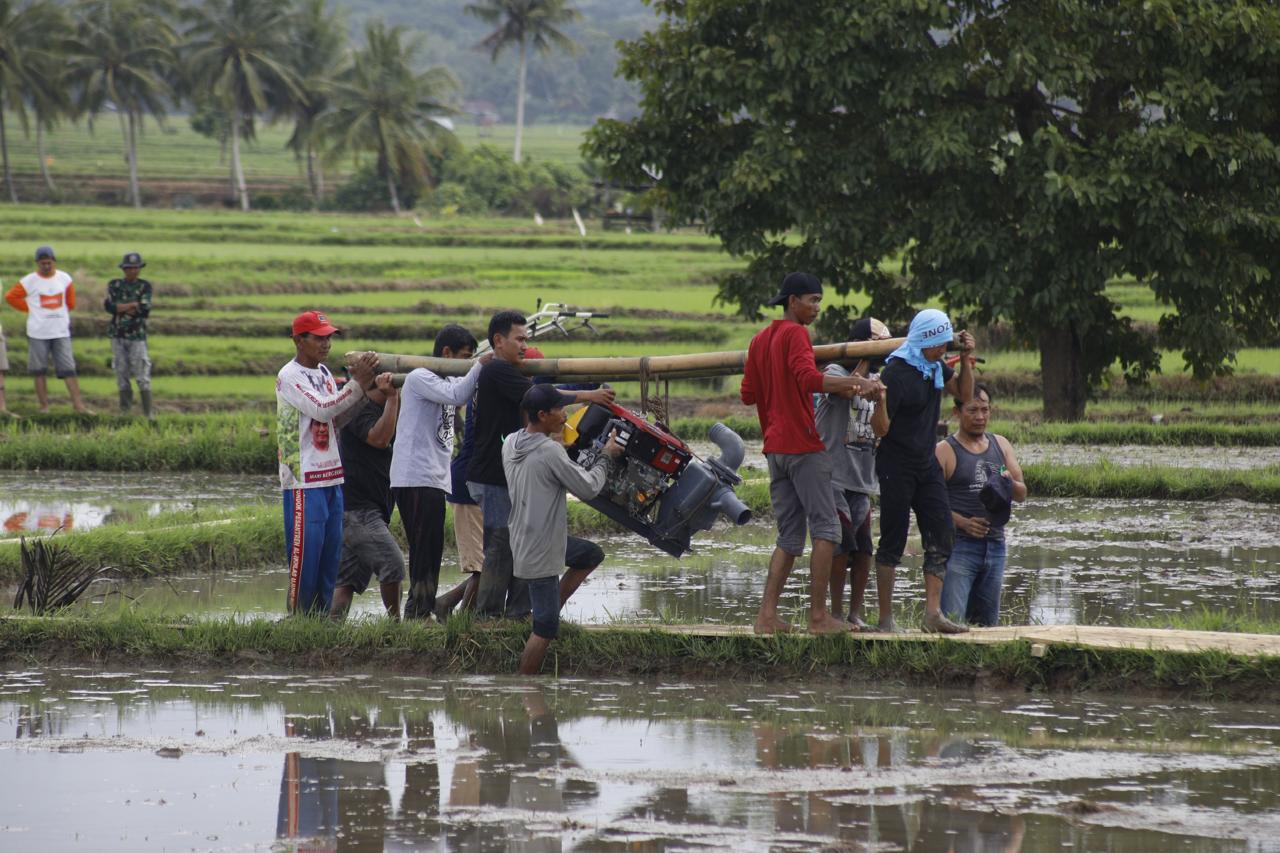 Pompanisasi dan Pupuk Terjaga, Petani Tetap Produksi di Tengah Kemarau