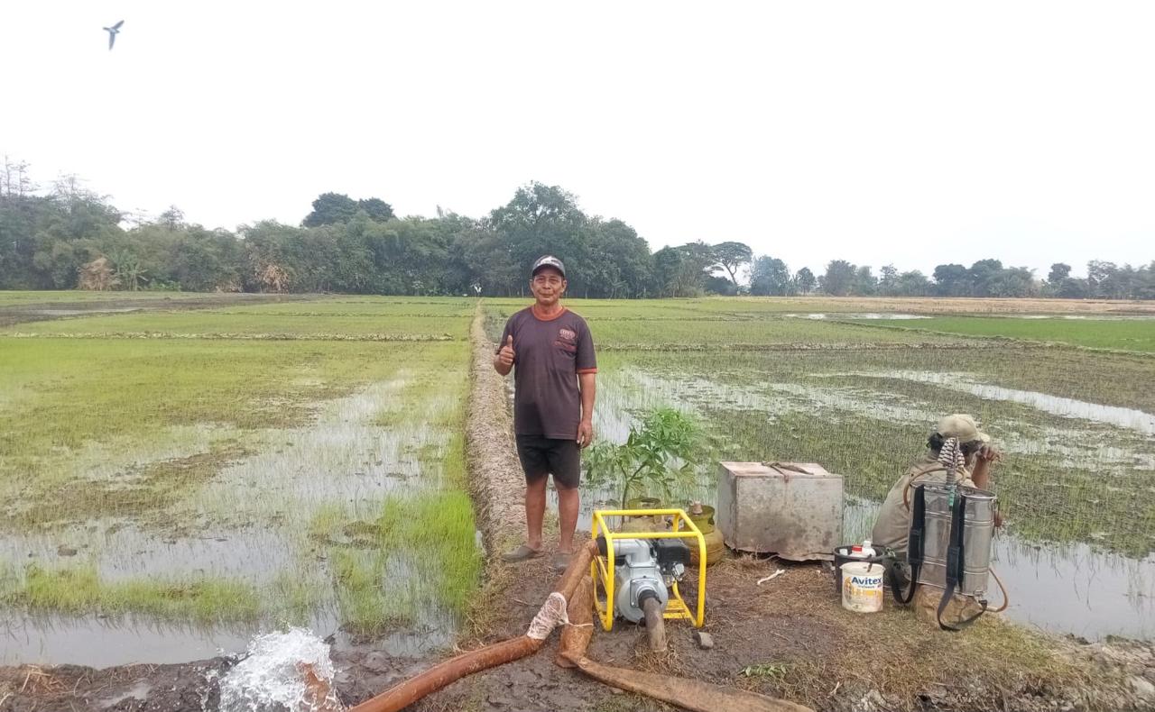 Jaga Produksi Pangan, Kementan Optimalkan Ratusan Pompa Air di Tegal