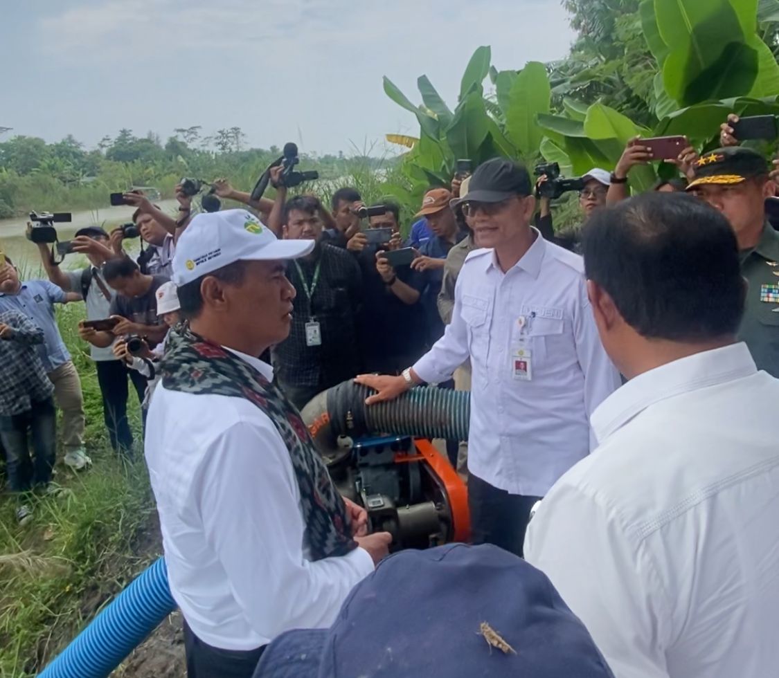 Dongkrak Produksi Beras Jawa Tengah, Kementan Gelontorkan 10.000 Unit Pompa Air